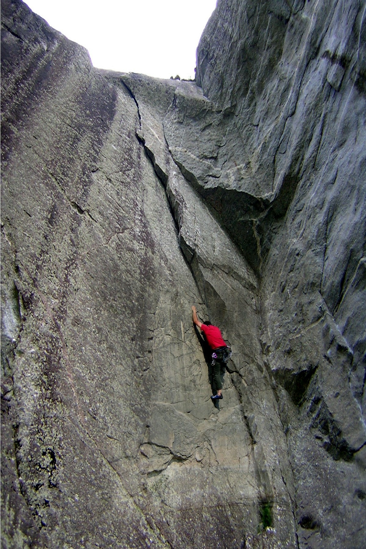 vertical